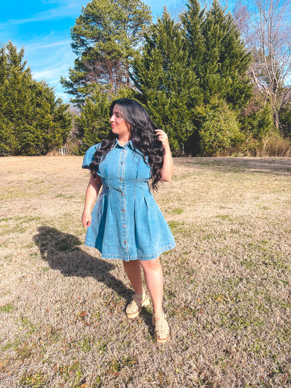 Woman in a blue dress standing in a field with trees in the background